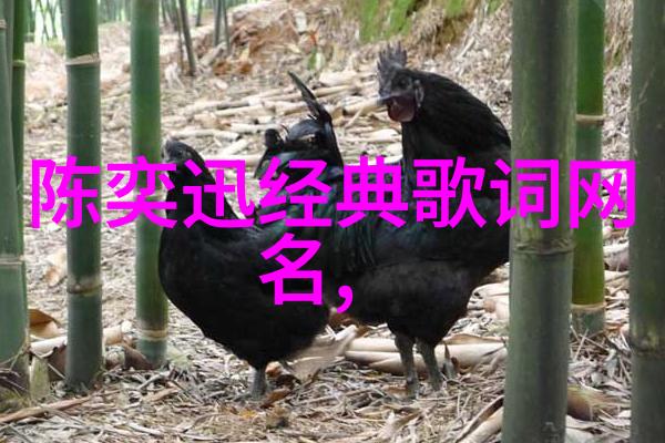 情侣伤感网名心碎之恋永远的相思
