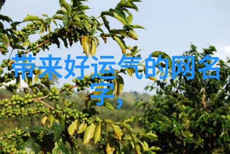 燃烧效率提升天然气锅炉技术革新解读