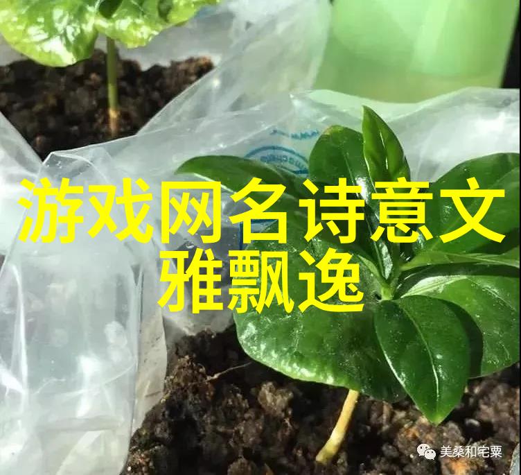 英文网名大全 - 创意无限精选全球英语网络昵称