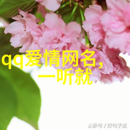 霸气有深意展现强者的风采与智慧