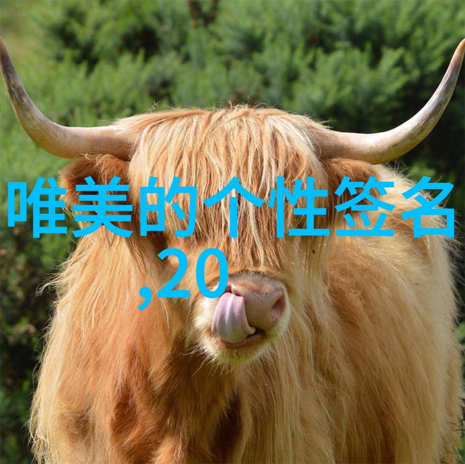 在静谧的图书馆深处有没有这样的女孩让人心驰神往并想起特定的名字呢