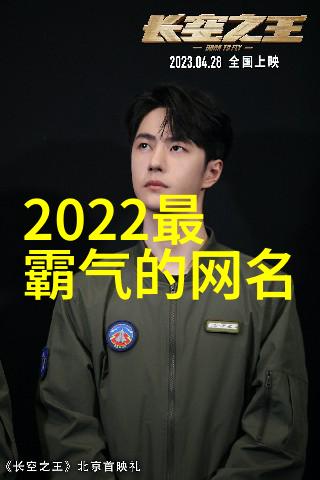 冰山下的网神高冷魅力的网络隐匿者