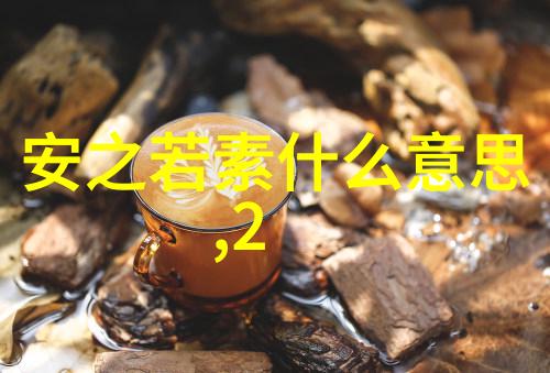 旋转阀机遇的转动门扉