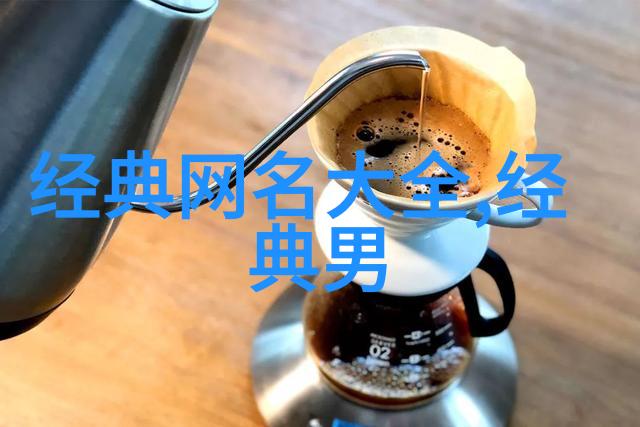 网名男生虚拟世界的孤独骑士