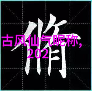网名密码揭秘二字辫子背后的深意与文化内涵