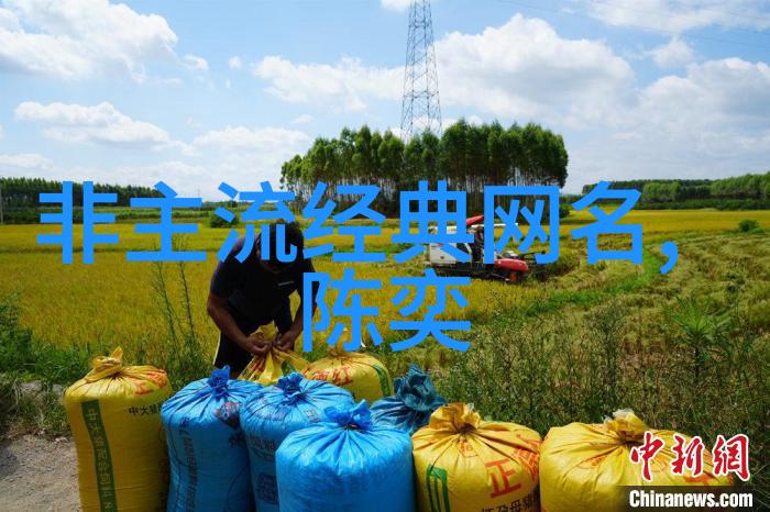 自然风情下的简单网名失恋男生柔和回归