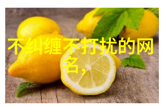 全自动软水器系统智能家居生活的便捷解决方案