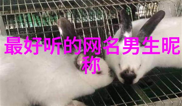 古韵情深唐诗宋词中的美女名讳