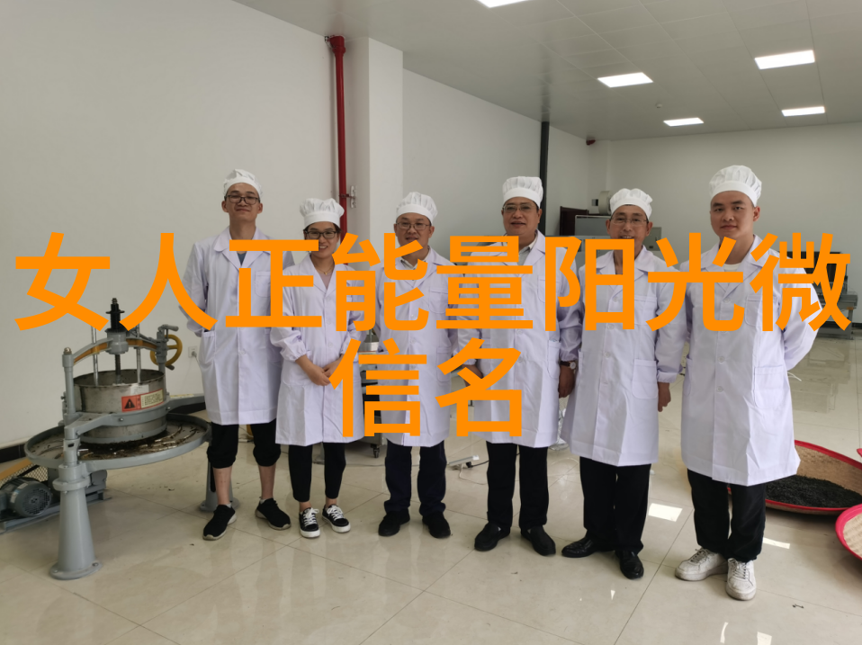 两段式煤气发生炉-火焰与蒸汽的和谐共生技术探索与应用实践