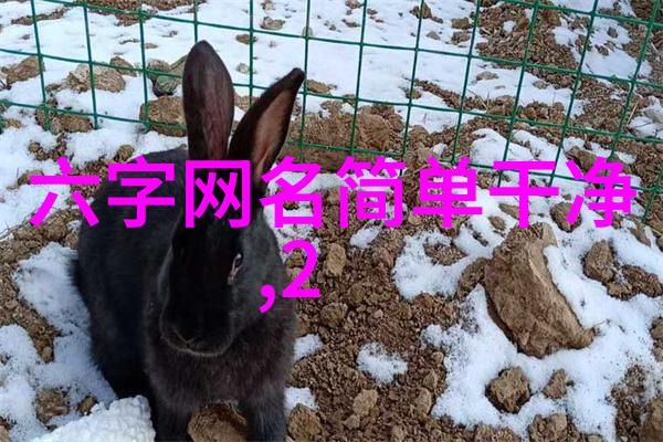 情侣网名简洁与纯净的爱情签名