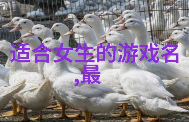 主题我是不是太喜欢这个一个字高冷网名了