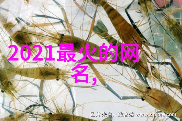 古韵雅致探索唯美昵称的诗意之旅