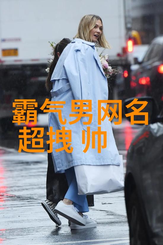 风华正茂的网名之旅追寻仙气的美妙世界