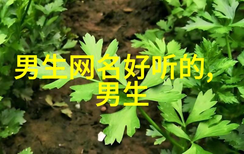 悦耳哀伤探索那些好听而又伤感的名字背后的故事