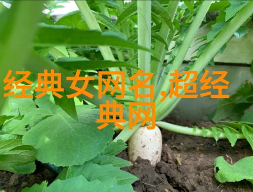 你的梦想与现实之间有没有共同点可以体现于名字中