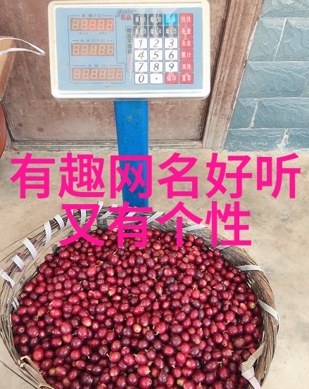 探索中华文化的智慧国学起名艺术的魅力与深度