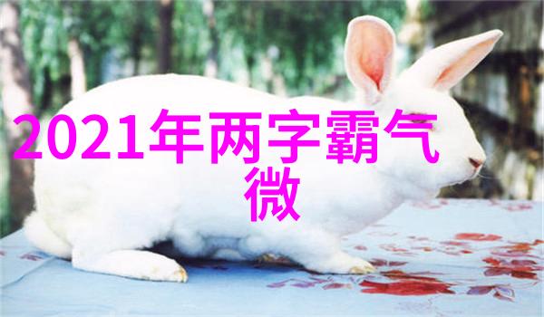 微信网名大全2023最新版-精选2023年微信网名推荐个性幽默浪漫多样选择