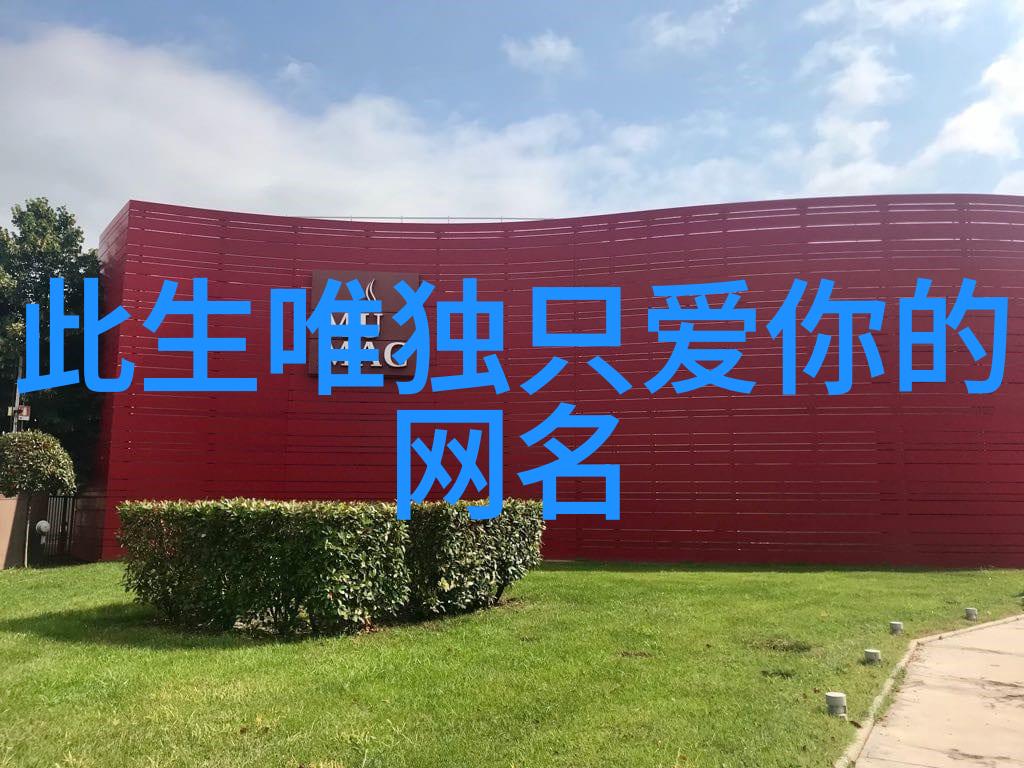 兄弟网名的力量如何打造个性化的网络称号