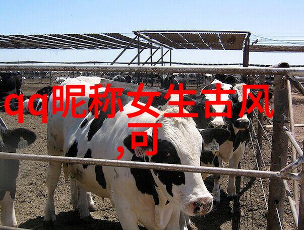 霸气带杀气的名字我叫轩