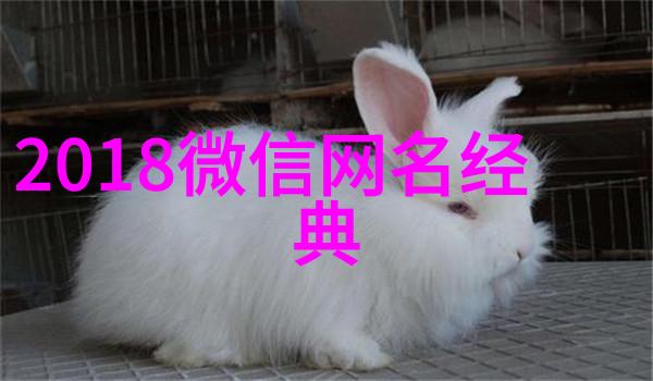 冰冷的网络她在虚拟世界中的哀愁