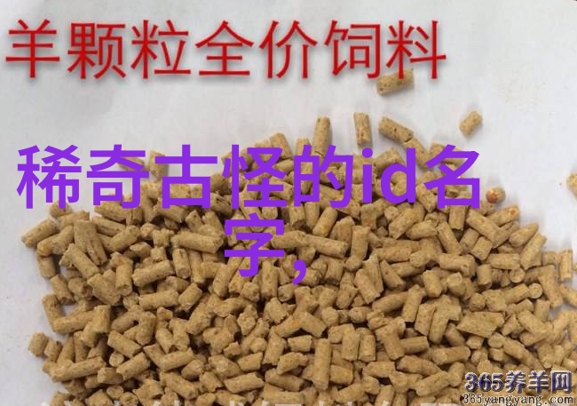 编织网络传奇有创意的网名女生的故事与魅力