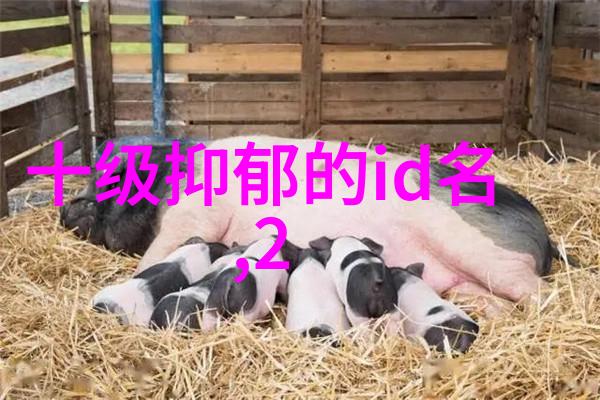 古韵悠扬寻觅好听又不显眼的网名秘籍