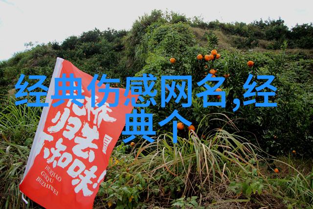 霸道风采两字命名背后的杀气与魅力