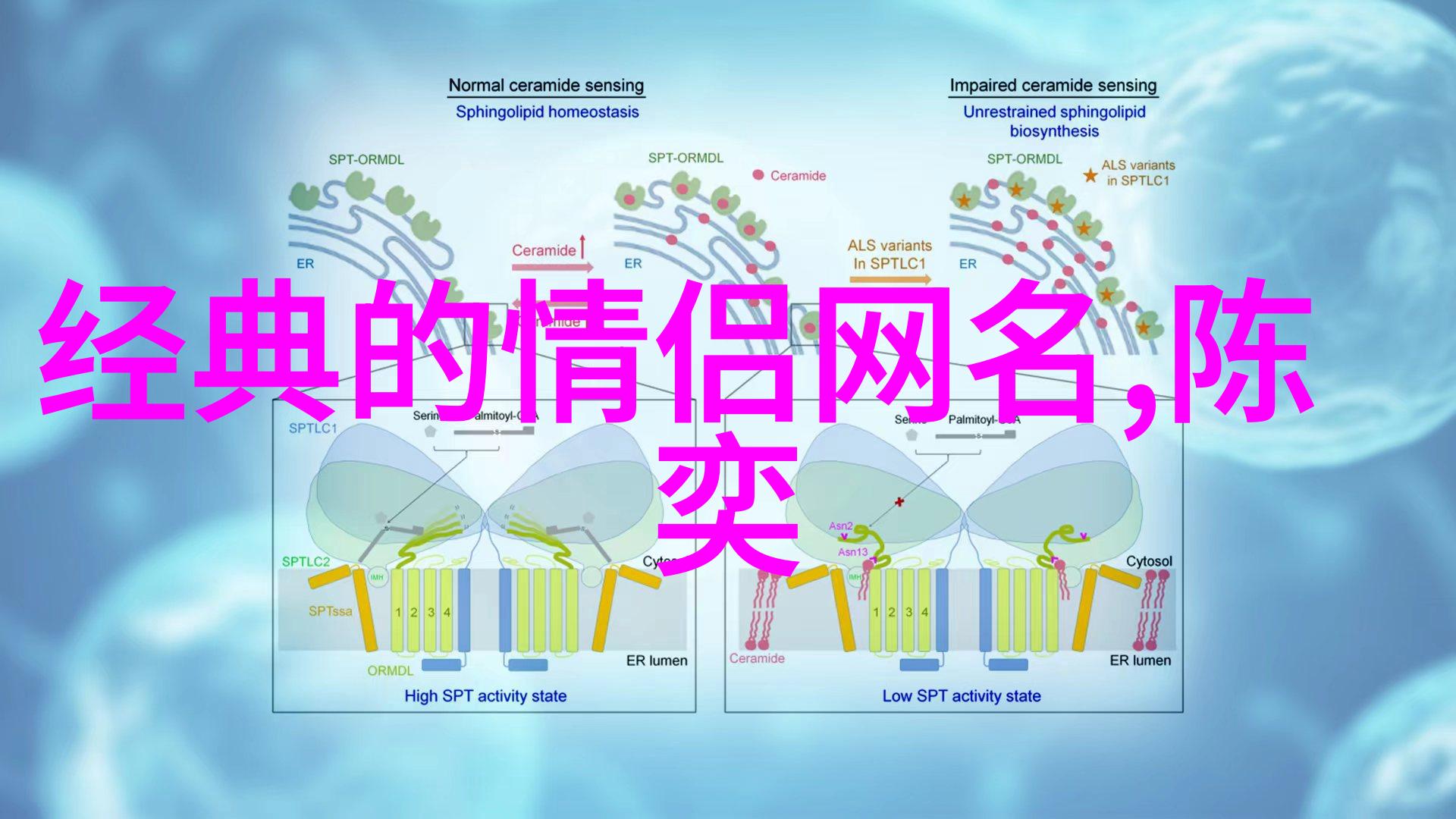 情侣网名伤感心碎的代号