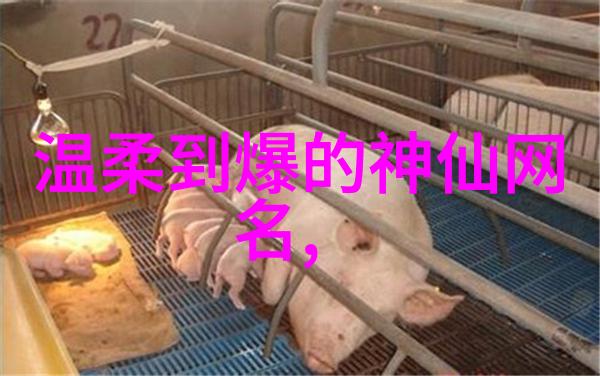 王者荣耀情侣ID秀气又甜蜜王者荣耀中的浪漫情侣ID