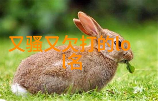本草纲目里的奇药佳肴一探植物世界的美味之名
