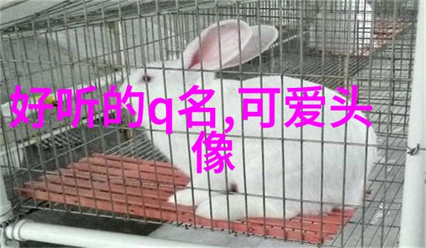 冷门才是诗词的温床探索隐逸之美
