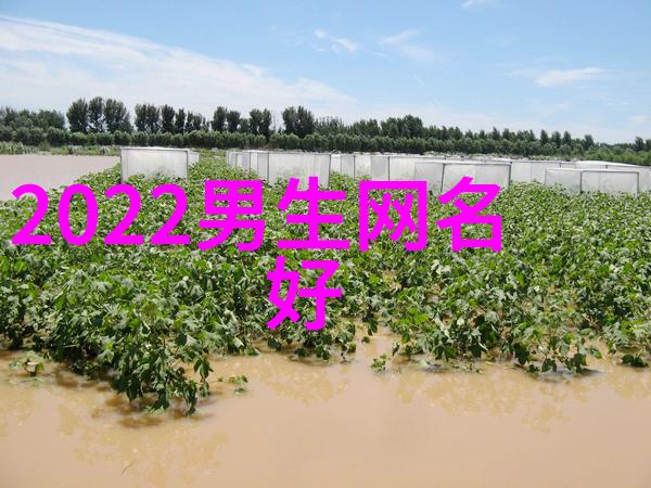 情侣心连心xx代替名字的浪漫网名
