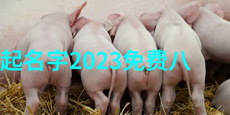 虎宝宝的最佳名字寻找最合适的字