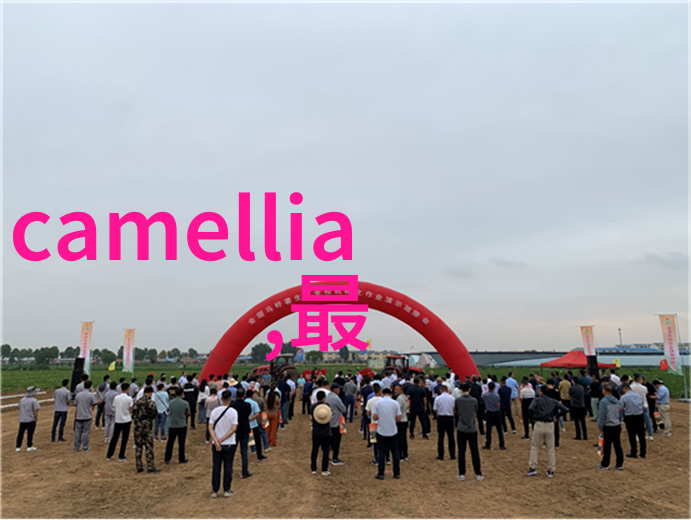 潮流圈2021最潮网名男宅男时尚的新定义