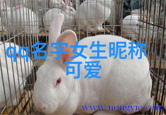 经典英文网名-时尚与智慧的交响曲探索经典英文网名背后的文化密码