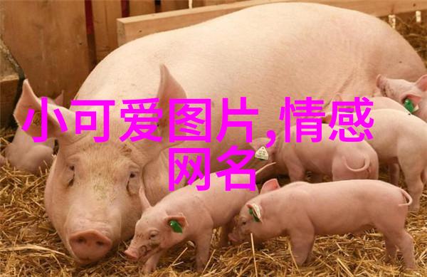 恶搞网名 能笑死人的我是如何用一个恶搞网名把朋友逗笑到停不下气的