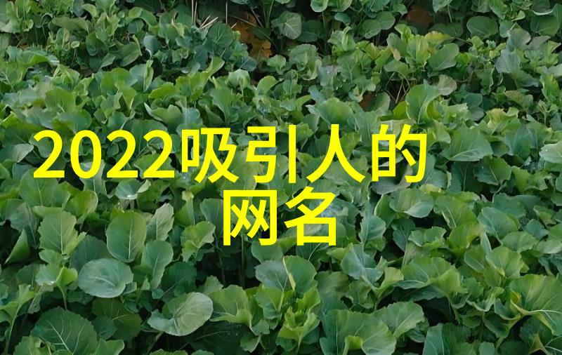 心碎后重建自我学会爱自己超越失恋痛苦