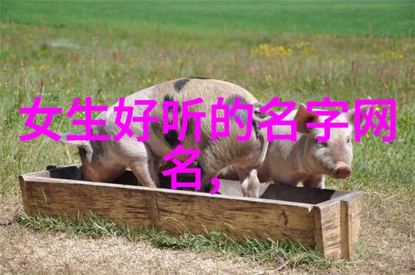 沈南知孟随洲小说全文免费阅读无弹窗-混凝土泵机操控者孟随洲与沈南知的故事最新章节列表笔趣阁