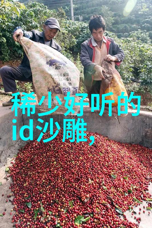 游戏之名寻觅星辰的传奇名字