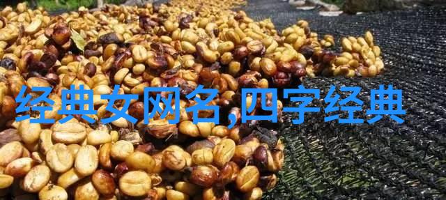 星辰之光幻想世界的和谐