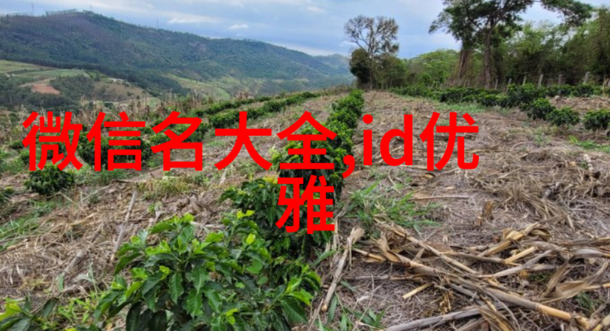 优雅诗意的网名倾城之恋流年如梭