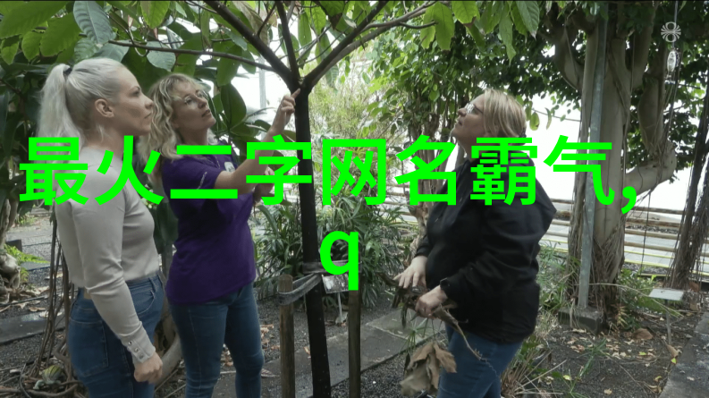 简约而不失格调如何挑选一个完美的英名