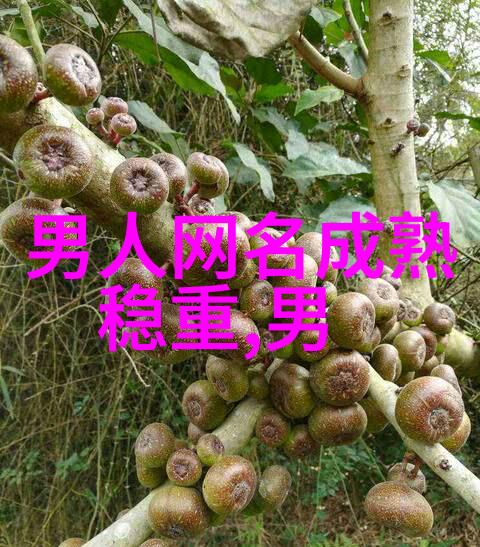 微信好听网名难道龚白羊真的因为辞职央视成为网红而离世了她生前曾在社交媒体上吐槽自己年仅32岁就不再存