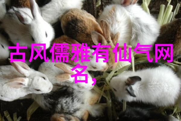 星辰之下墨香轻抚唯美很仙的网名
