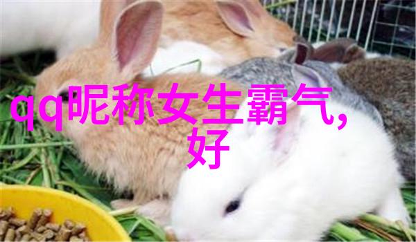 保罗雪莉禁忌解读第一至第四条禁令