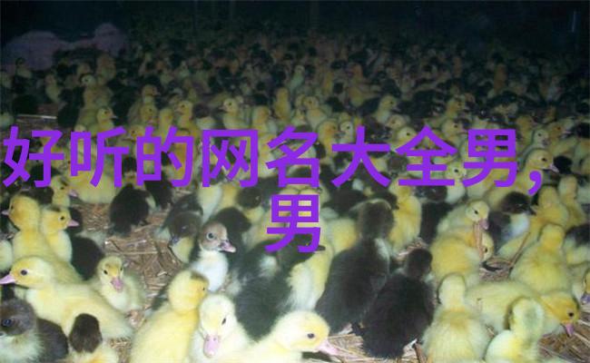 月光裂缝折月的传说与科学