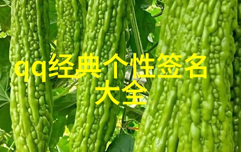 4字昵称大全简短精选66个