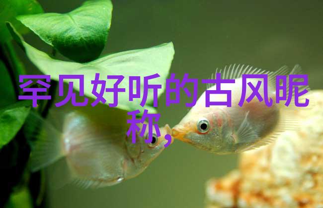 铸造精髓压铸件的艺术与科技