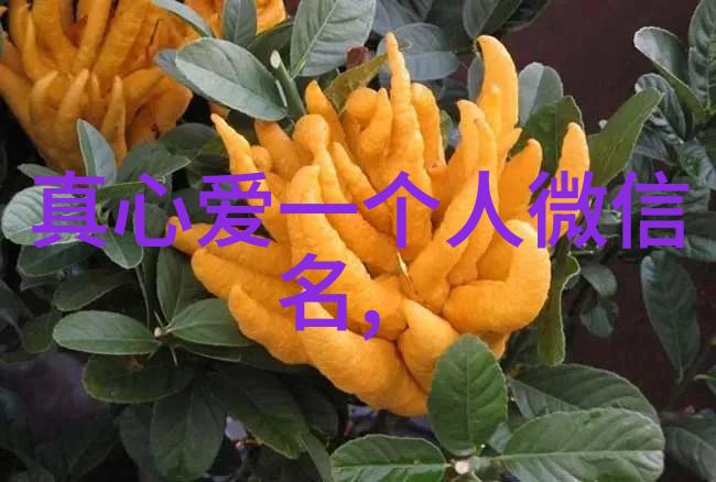 在这寂静的夜晚你会给自己取一个什么样的四个字唯美昵称