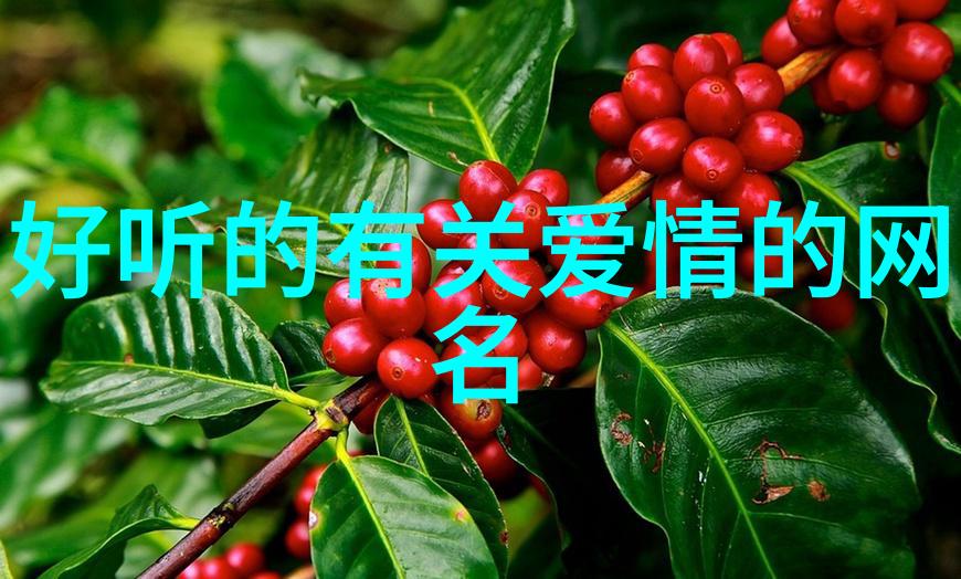 爱的密码心灵深处的昵称之旅